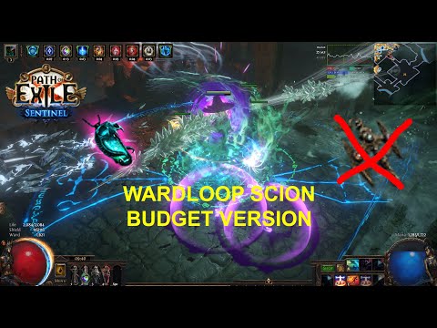 Scion Wardloop 3.18 - 17ex budget build showcase