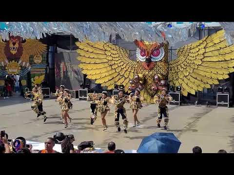 Tundique de Oro 2023 Final - Sambos del Socavon