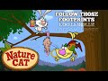 NATURE CAT Follow Footprints S01 Ep04 PART V Kids Cartoons Pbskids