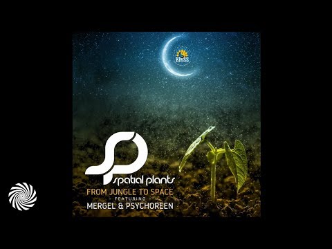 Spatial Plants, Mergel,  Psychoreen - You Sick