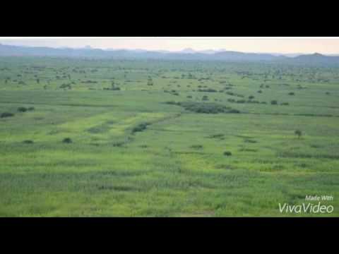 Dembe gezana for daniel jofa