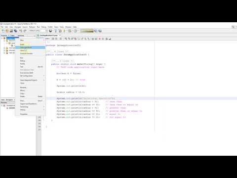 Java Tutorial 16 Boolean Data Type And Relational Operators