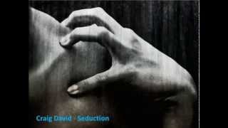 Craig David   Seduction