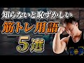 知らなきゃ恥ずかしい!?筋トレにおいて重要な用語を初心者向けにわかりやすく解説