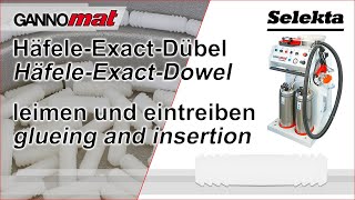 Video about Dowel inserting machines Gannomat Selecta