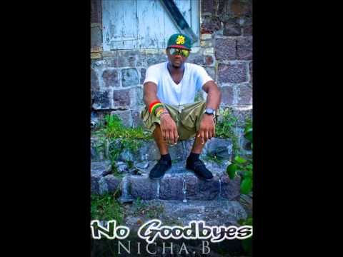 Nicha B- Noo Good byes