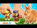 Paw Patrol Fix A Fluffy Bunny Breakout Toy Farm Nick Jr