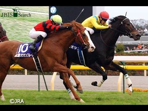 Japan Cup (G1) 2009