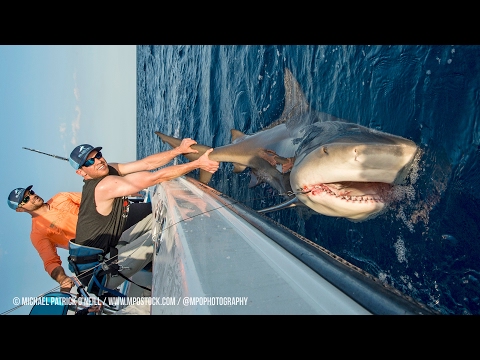 Shark Fishing with New York Mets Pitchers Steven Matz & Sean Gilmartin
