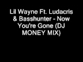 Lil Wayne Ft Ludacris & Basshunter Now You're ...