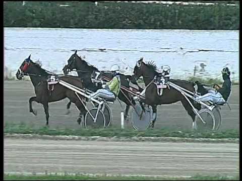 Trotto 19/01/2016 - 2° corsa