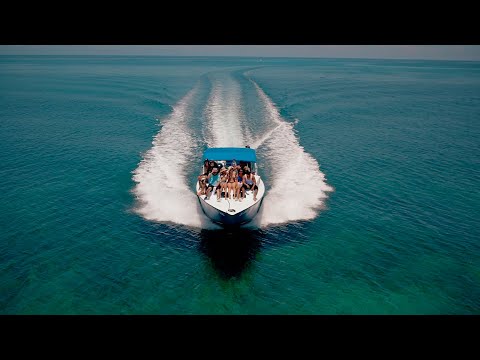 Krooked Treez - Belize (Official Music Video)