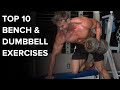 Ten Great Bench & Dumbbell Exercises