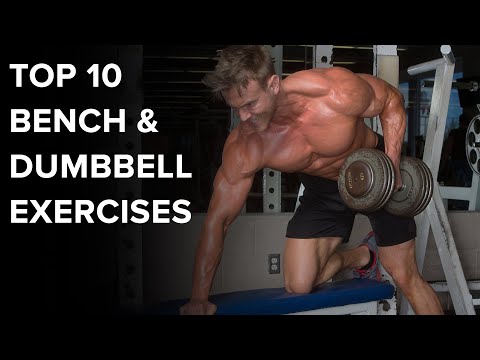 download lagu mp3 mp4 Bench And Dumbbell Exercises, download lagu Bench And Dumbbell Exercises gratis, unduh video klip Bench And Dumbbell Exercises