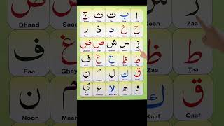 Alif Ba Ta Sa | Arabic letters for beginners | Learn Arabic alphabet for beginners #quran #arabic