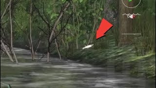 #51 Fishig Planet A Living Tree & A Fish That Into Forest