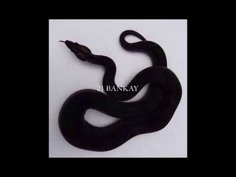 DRAKE x NIGHT LOVELL x PHARAOH type beat ''FLARE'' prod. by 21 Bankay