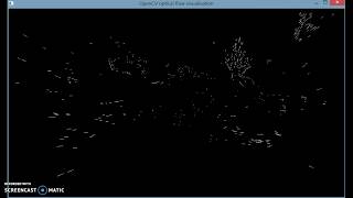 Optical Flow visualization with OpenCV