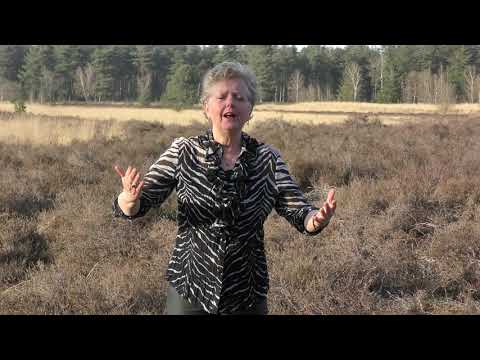 Wie heeft de zon uit jouw gezicht gehaald. Gezongen door Vera Kusters.