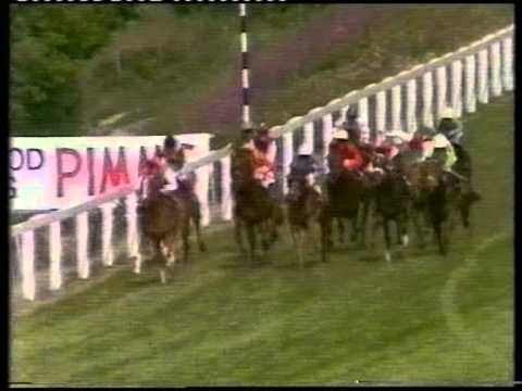 1982 Sussex Stakes
