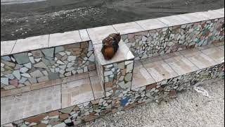 salerno-rimosso-l-ordigno-bellico-ritrovato-a-lungomare