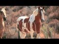 Jack's Mannequin - Casting Lines (People and ...
