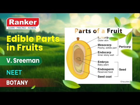 Structural Organization in Plants | Fruit | Edible Parts in Fruits | Botany | V. Sreeman