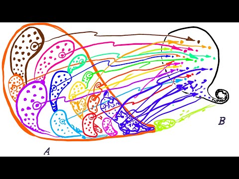 Was ist so falsch am Auswahlaxiom?