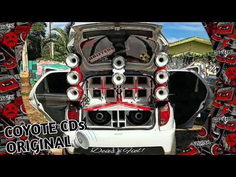 JÚNIOR VIANNA • RELÍQUIA SO AS MELHORES DE 2016 (GRAVE BASS)