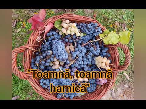 "Toamnă, toamnă harnică"- cântec pentru copii