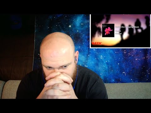 OPETH - UNDER THE WEEPING MOON Reaction!  "A rabit hole in a rabit hole"