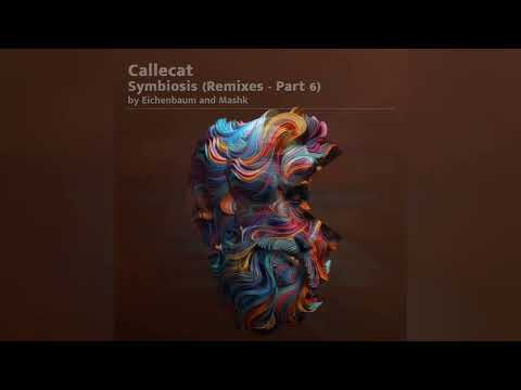 Callecat & Gustin - Embracing Nature (Eichenbaum Remix)