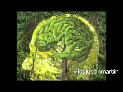 Justin Martin - Brain Food feat. B. Rossi (Prod. by SMKA) Brain Food