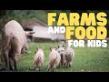Farms And Food For Kids Learn How Food Comes From A Farm To Your Table