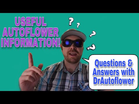 Useful Autoflower Information - Questions and Answers with DrAutoflower
