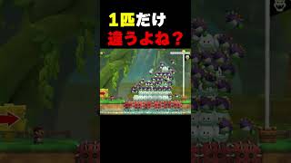 なんか1匹だけ違う子混ざってるんだけどｗ