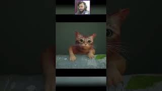 He Lost One Life. Stray Gameplay #stray #straygame #straycat #straykidsedit