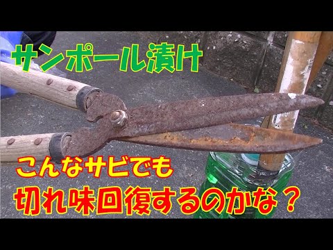 錆びた庭の装飾: 緑青でアクセントを付ける トピックス