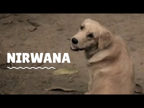 Being kind is not just about helping someone, it's about making a difference.