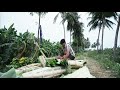 Ore Oru Vaaram HDRip Thirunaal 720p HD Video Song Mp4