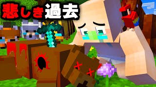 赤ちゃんの過去が悲しすぎた...ミスター赤ちゃん【マイクラ・マインクラフト】