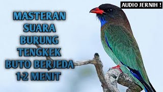 Download lagu MASTERAN MURAI BATU || BERJEDA 1-2 MENIT AUDIO JERNIH ! mp3 Download lagu MASTERAN MURAI BATU || BERJEDA 1-2 MENIT AUDIO JERNIH ! mp3