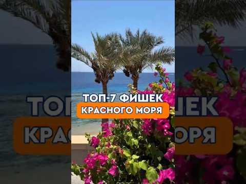 ТОП-7 малоизвестных особенностей микроклимата Красного моря, которые влияют на  здоровье туриста!