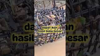 Download lagu caught fish from a large trap mp3