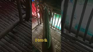 Download lagu Like and subscribe. mp3