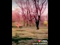 Door Nigahon Se Ansu Bahata Hai Koi