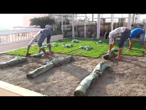 Land Scaping Artificial grass for Terrace Garden