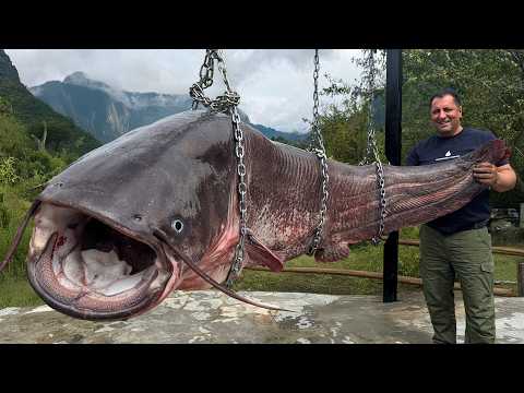 This Giant Catfish Turns Into the Best Village Feast