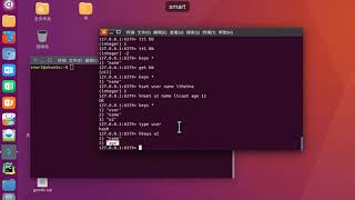 Download the video "13 redis数据库丨02 redis数据类型及其操作丨03 redis数据类型 hash命令mp4"
