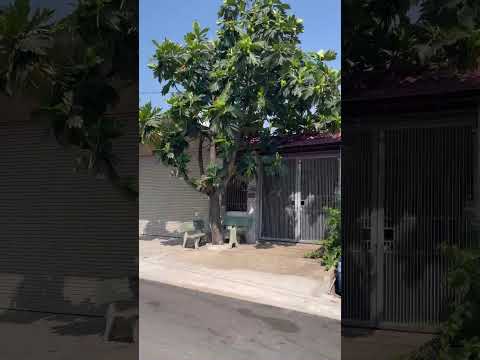 Bán nhà cấp 4 đường Trương Văn Vĩnh